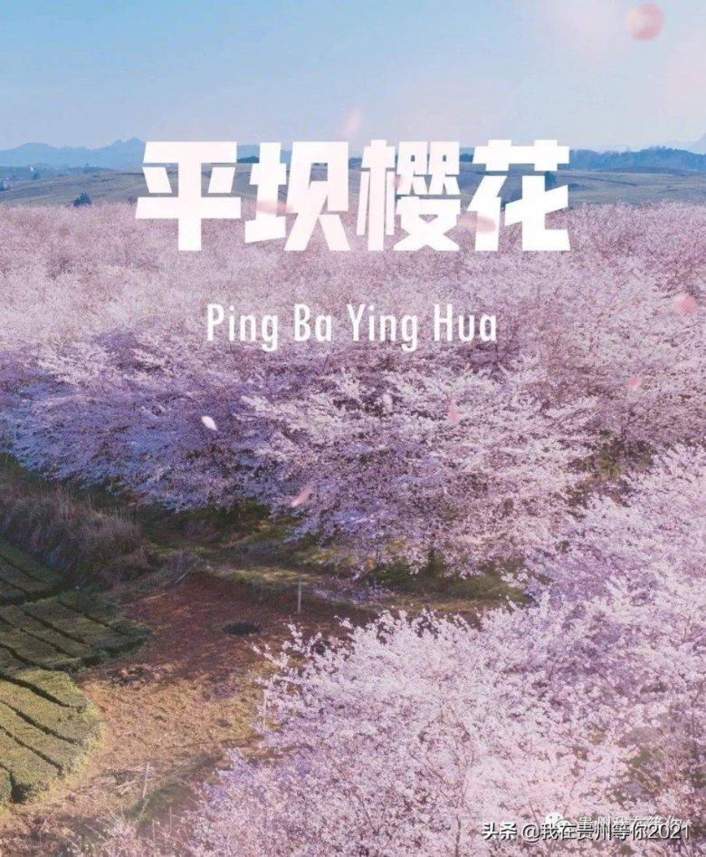 解惑天地,畅谈百度知道 的,开放平台是干什么用的?