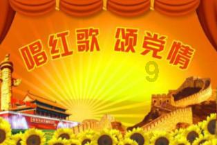 KP101.Cn练习- 专业知识问答网页,解答你的疑问