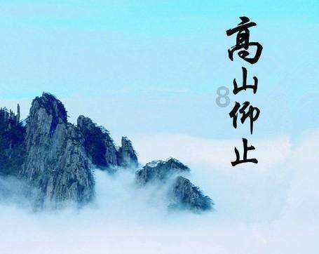 探索冷知识的第一次相亲应该由谁买单?平台,独家分享令人惊叹的奇闻异事